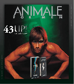 Animale UP!43